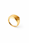 Anillo esmerilado